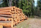 Guildford VICtree-felling-services-31.jpg; ?>